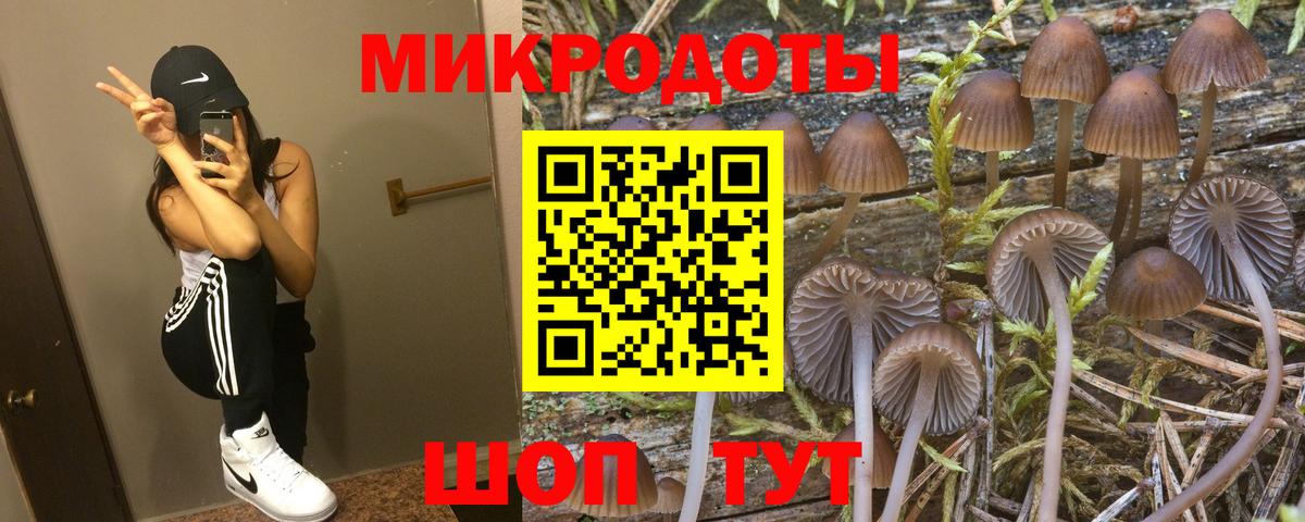 Калач-на-Дону  Галлюциногенные грибы мицелий  Вход с VPN 